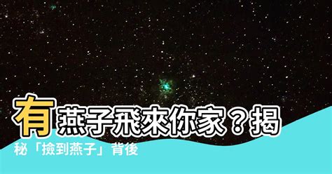 撿到燕子代表什麼|燕子的象徵意義